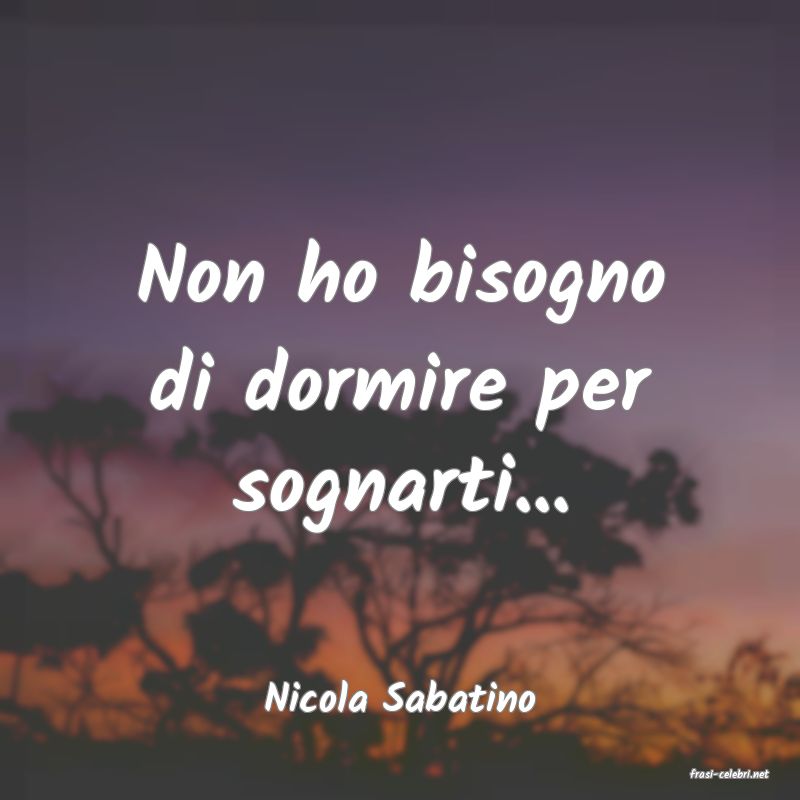 frasi di  Nicola Sabatino
