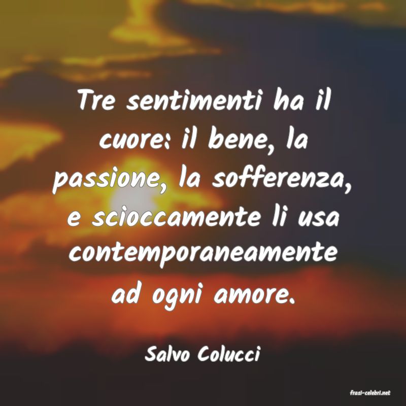 frasi di  Salvo Colucci
