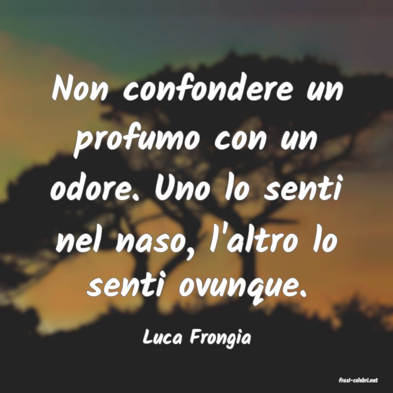 frasi di  Luca Frongia
