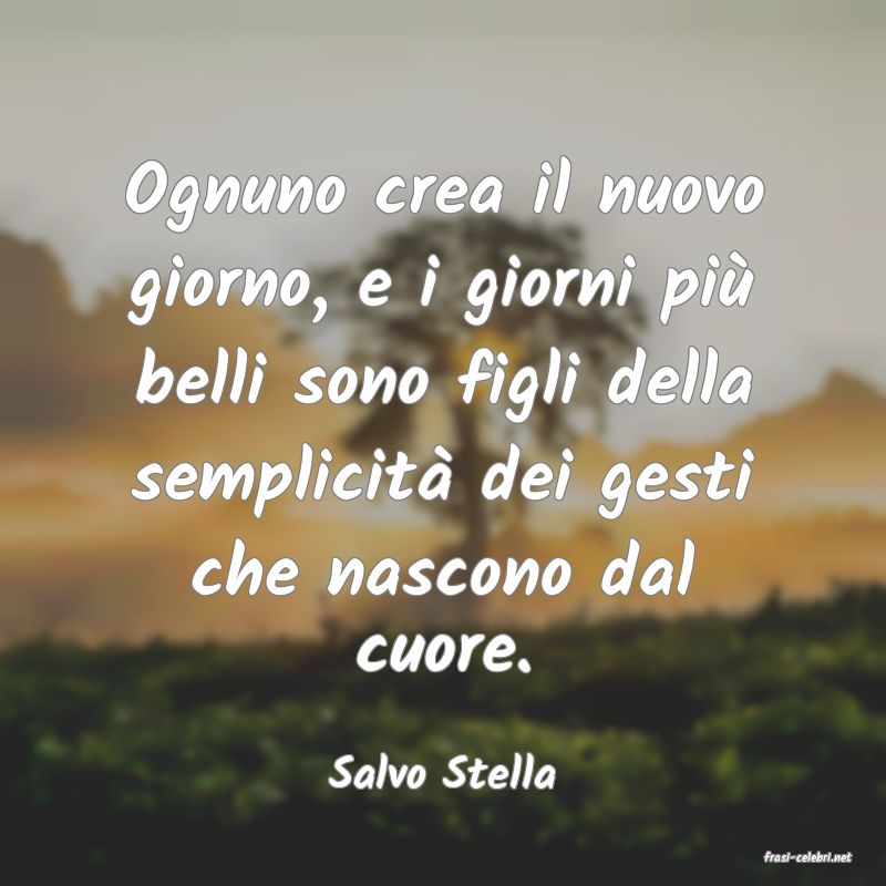 frasi di  Salvo Stella
