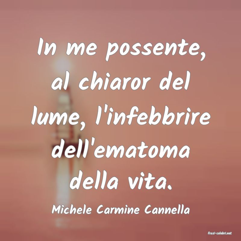 frasi di  Michele Carmine Cannella
