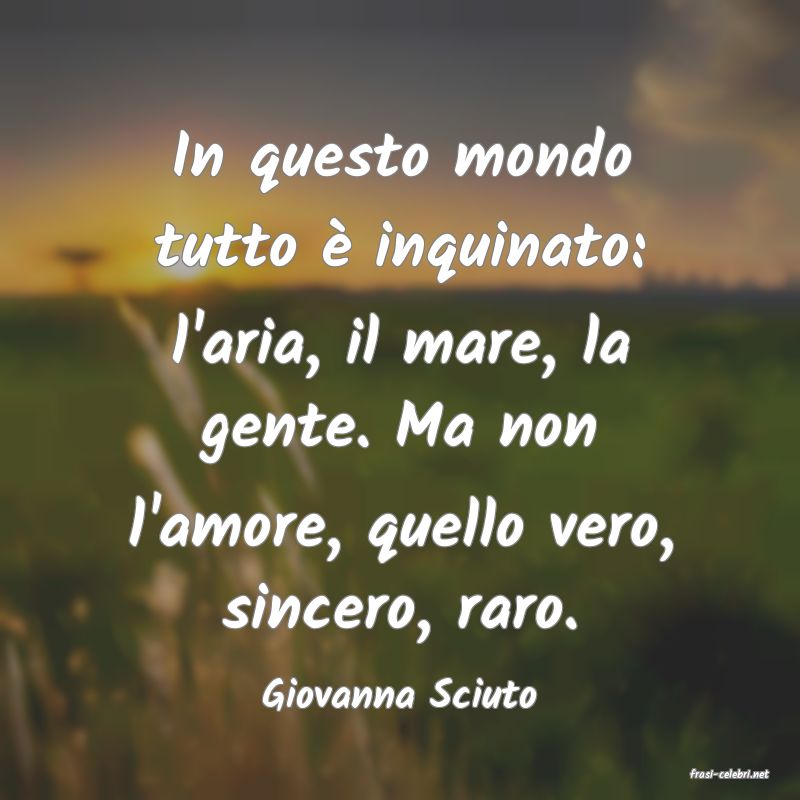 frasi di  Giovanna Sciuto
