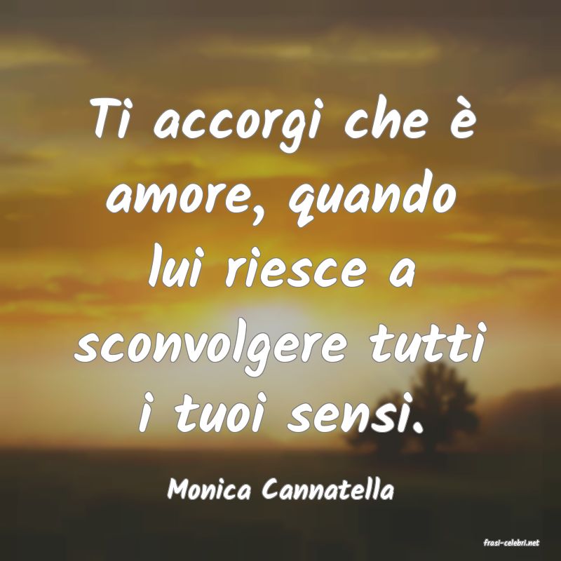 frasi di  Monica Cannatella
