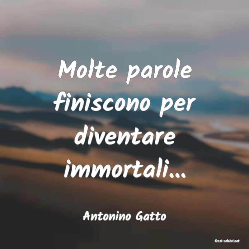 frasi di  Antonino Gatto
