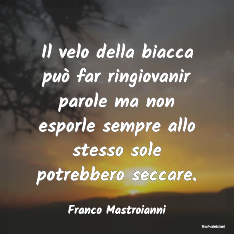 frasi di Franco Mastroianni