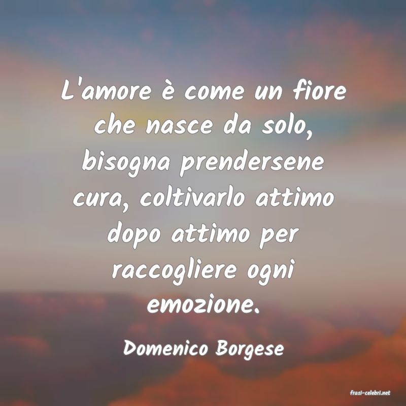 frasi di  Domenico Borgese
