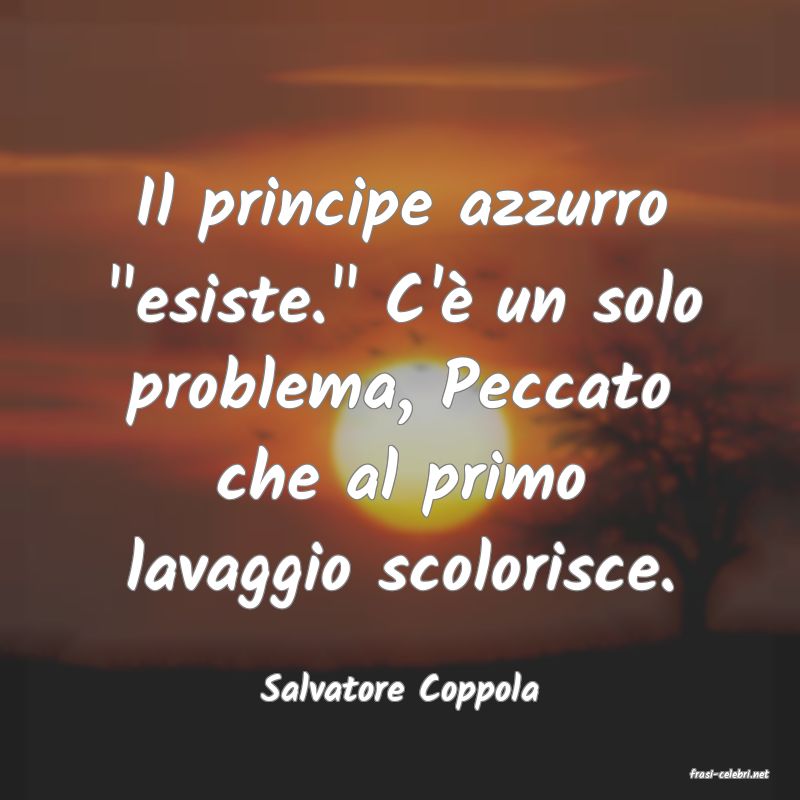 frasi di  Salvatore Coppola
