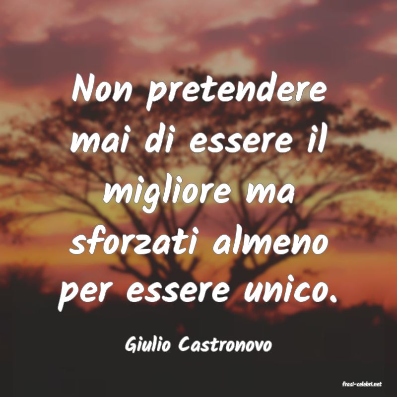 frasi di  Giulio Castronovo
