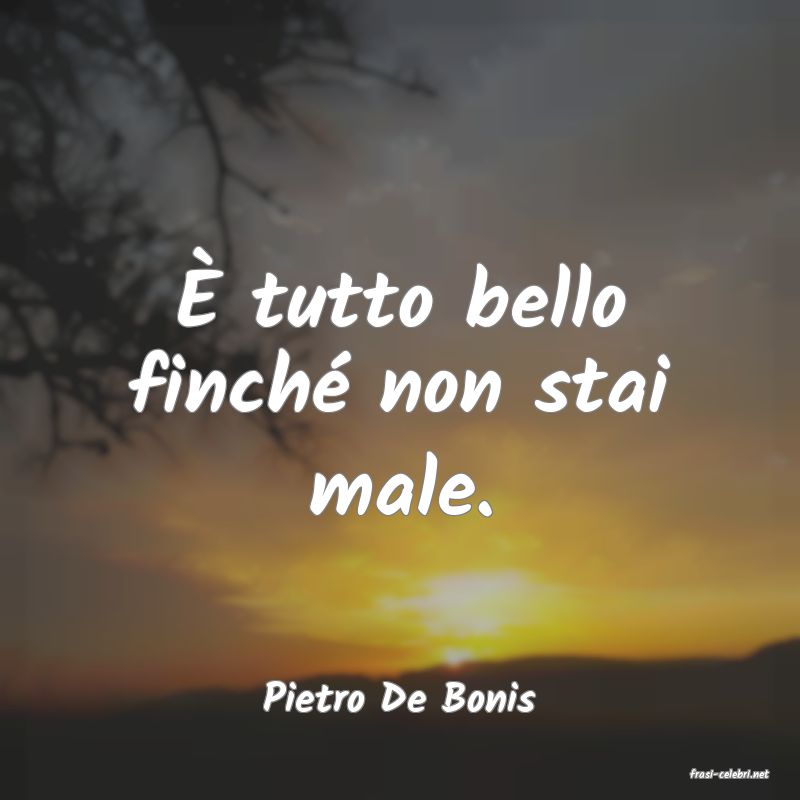 frasi di  Pietro De Bonis
