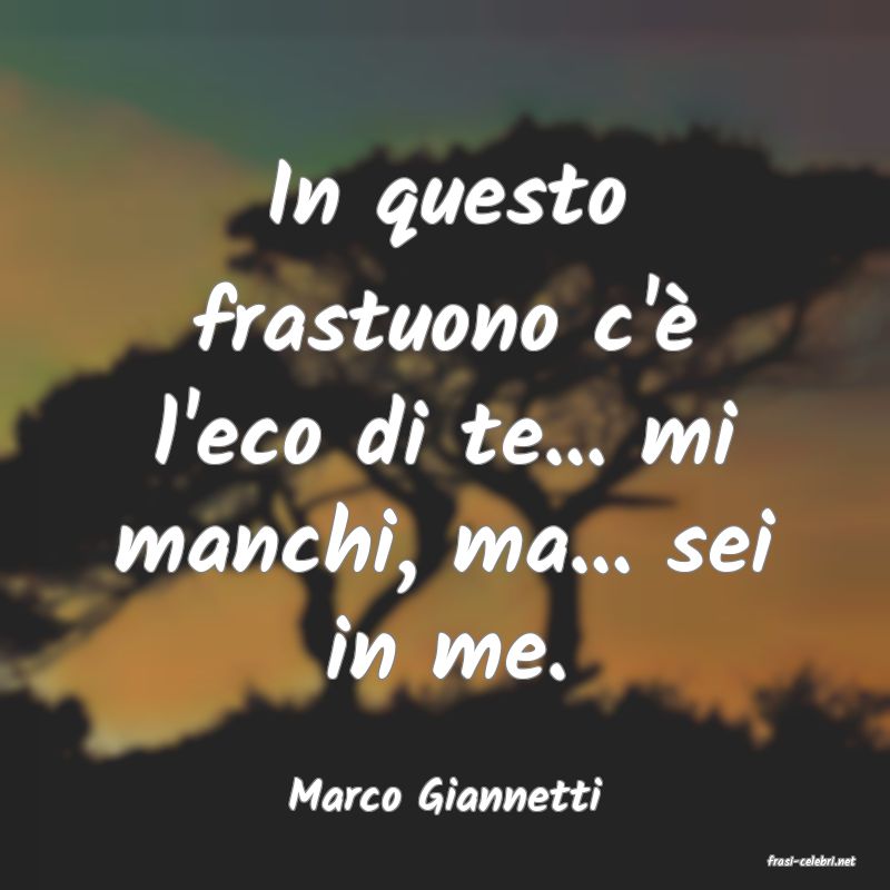 frasi di Marco Giannetti