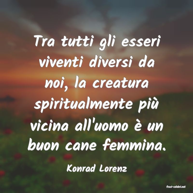 frasi di  Konrad Lorenz
