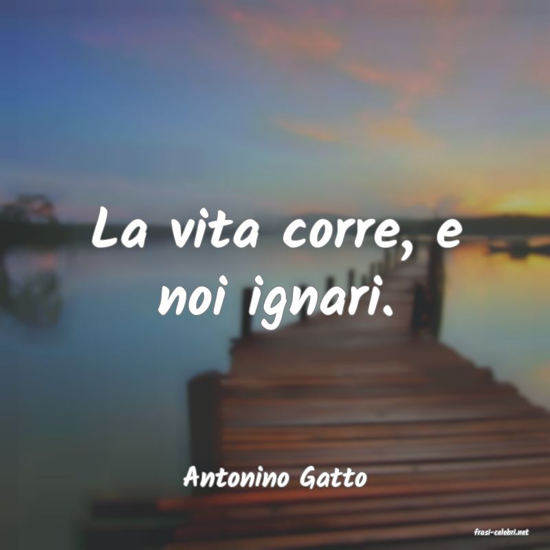 frasi di  Antonino Gatto
