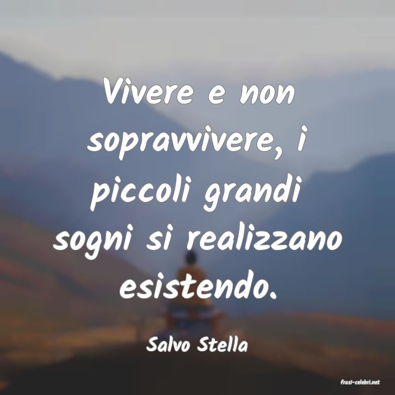 frasi di  Salvo Stella
