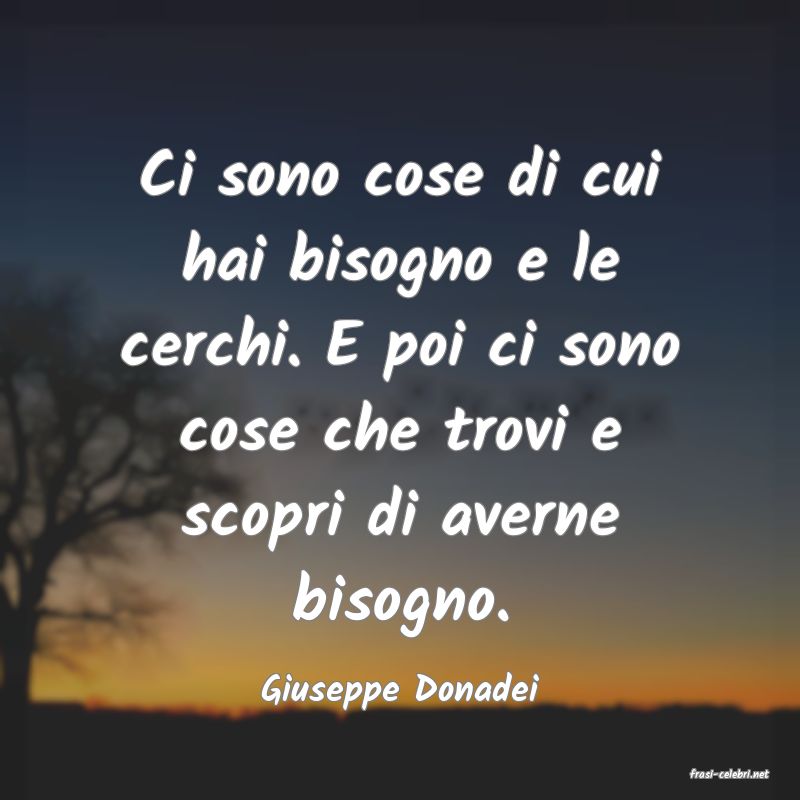 frasi di  Giuseppe Donadei
