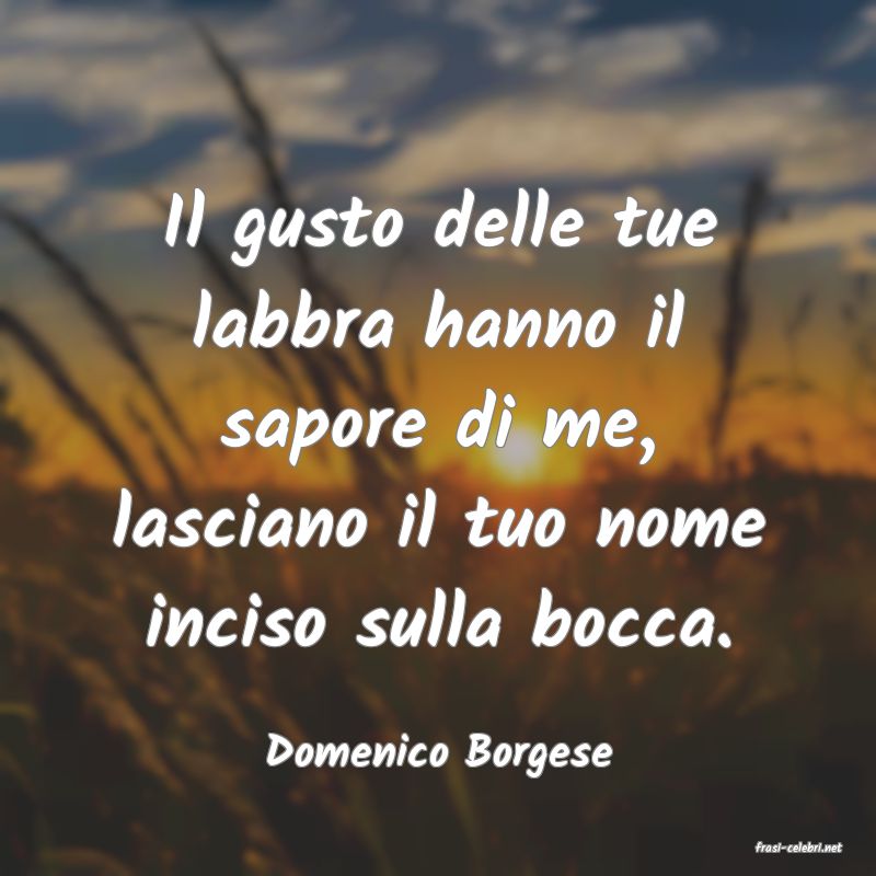 frasi di  Domenico Borgese
