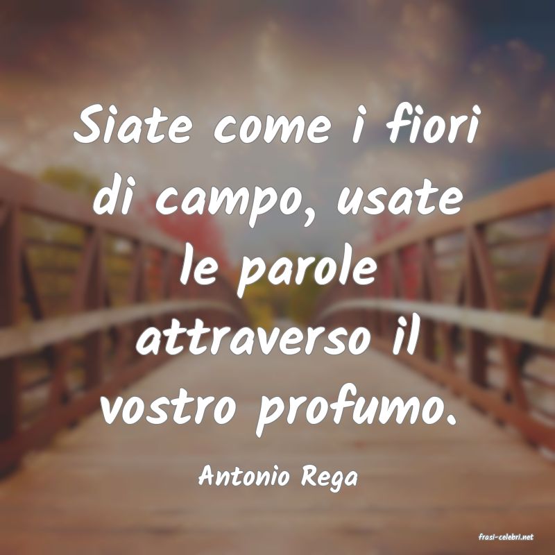 frasi di  Antonio Rega
