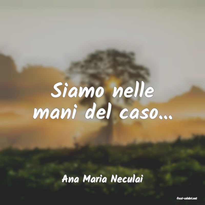 frasi di  Ana Maria Neculai
