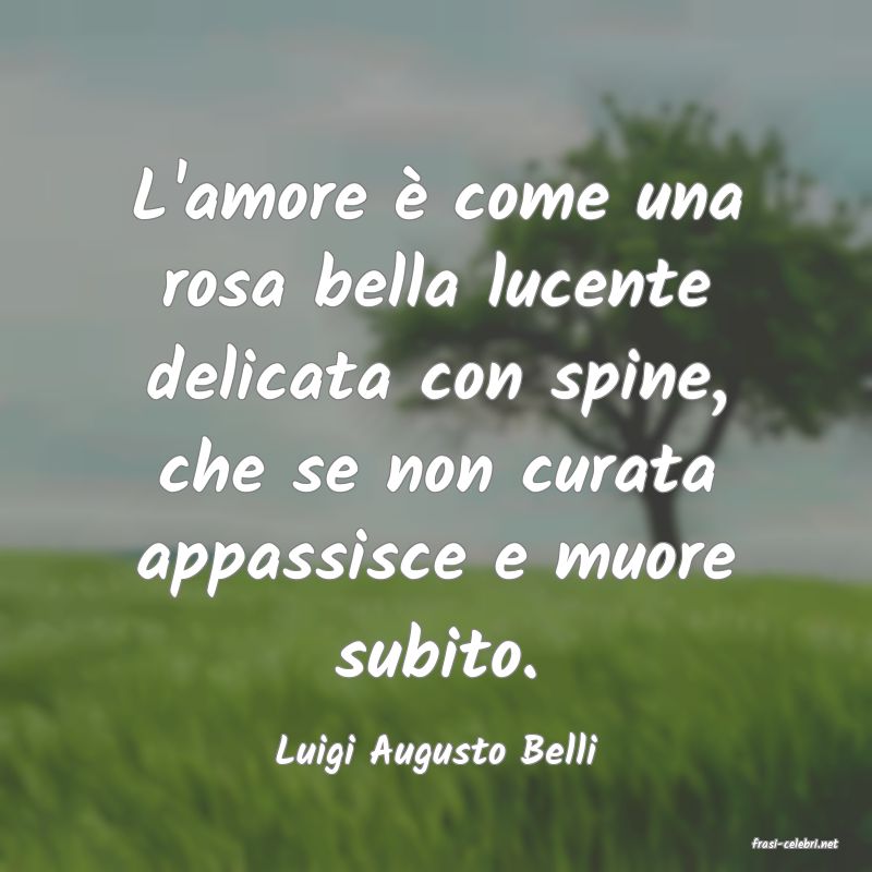 frasi di  Luigi Augusto Belli
