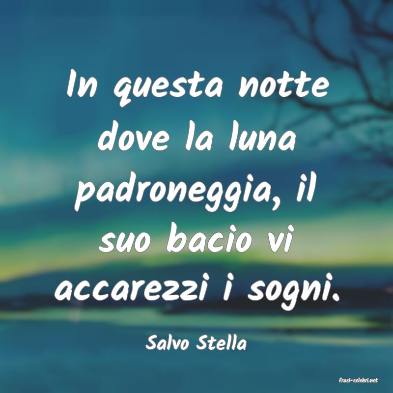 frasi di  Salvo Stella
