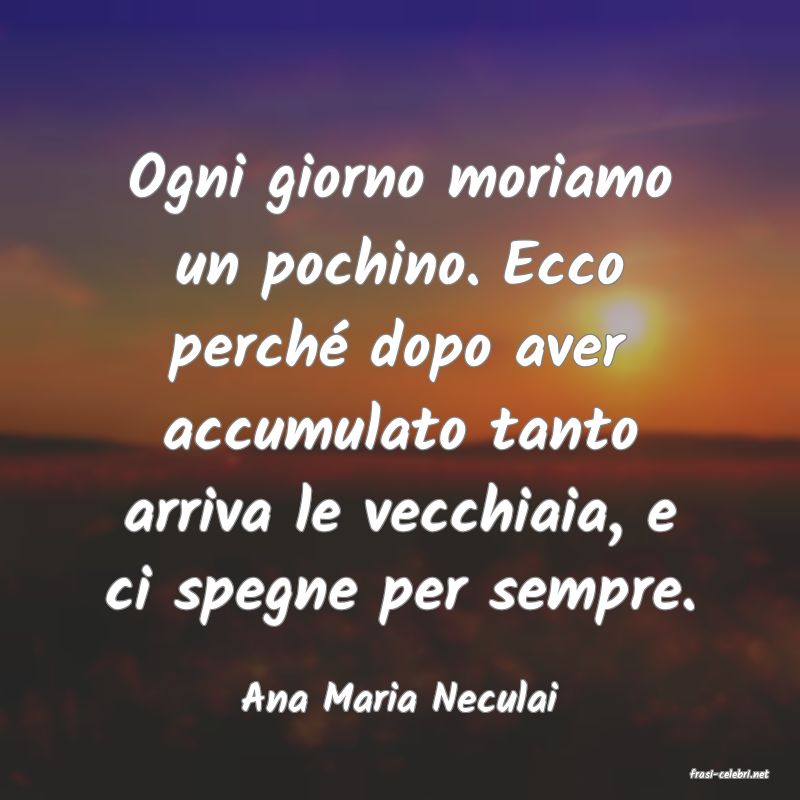 frasi di  Ana Maria Neculai
