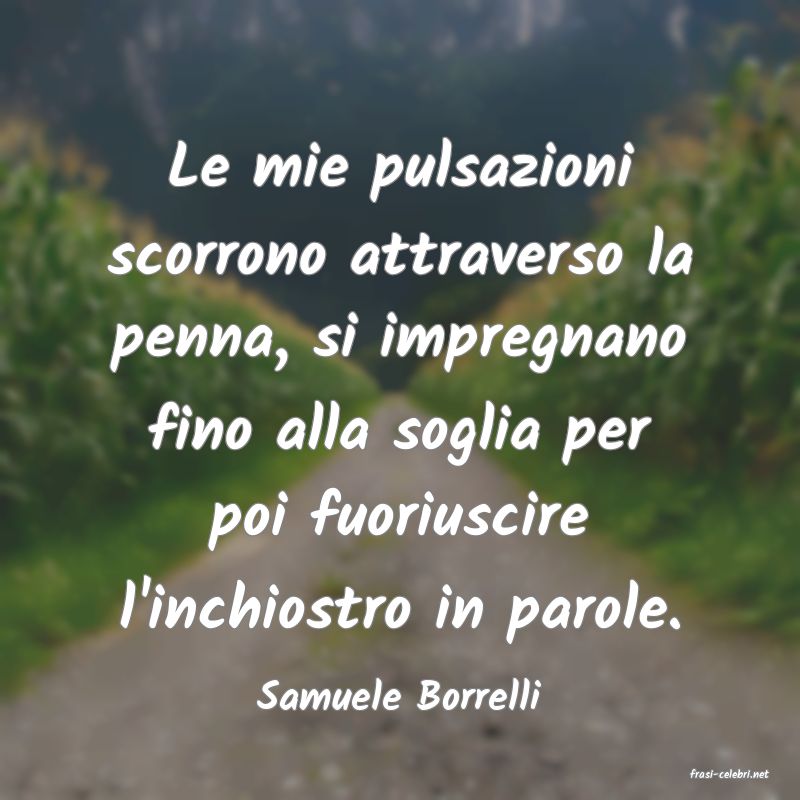 frasi di  Samuele Borrelli
