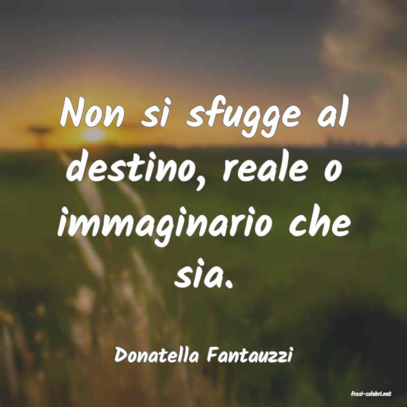 frasi di  Donatella Fantauzzi
