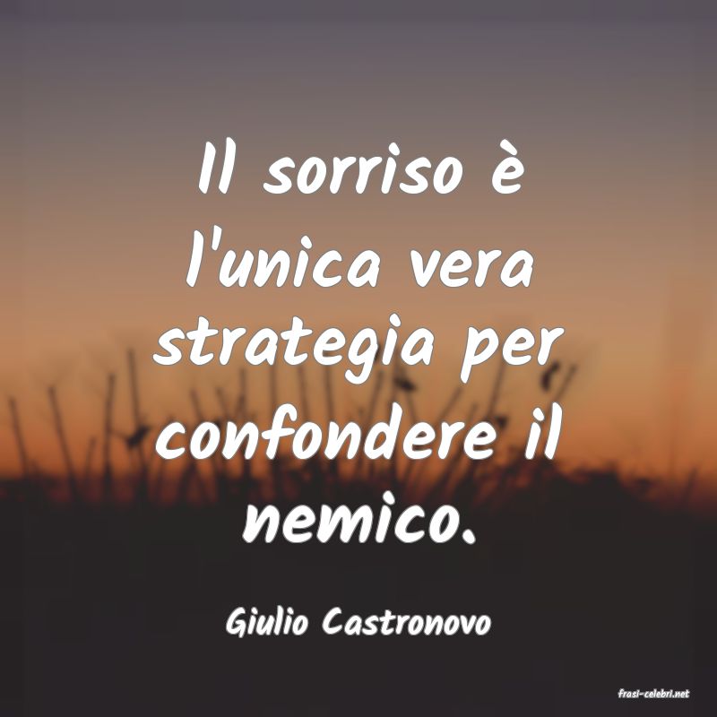 frasi di  Giulio Castronovo
