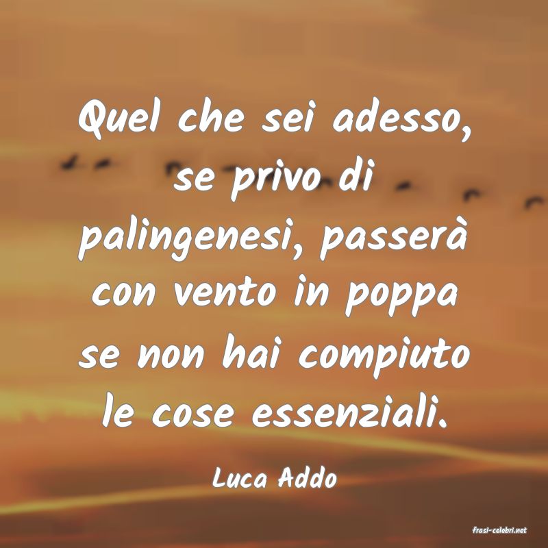 frasi di  Luca Addo
