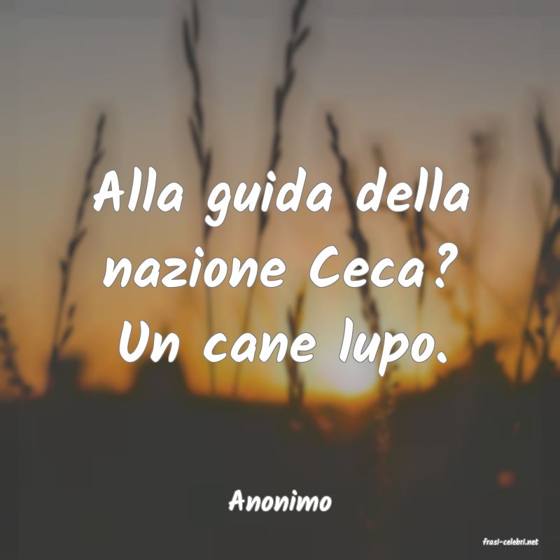 frasi di Anonimo