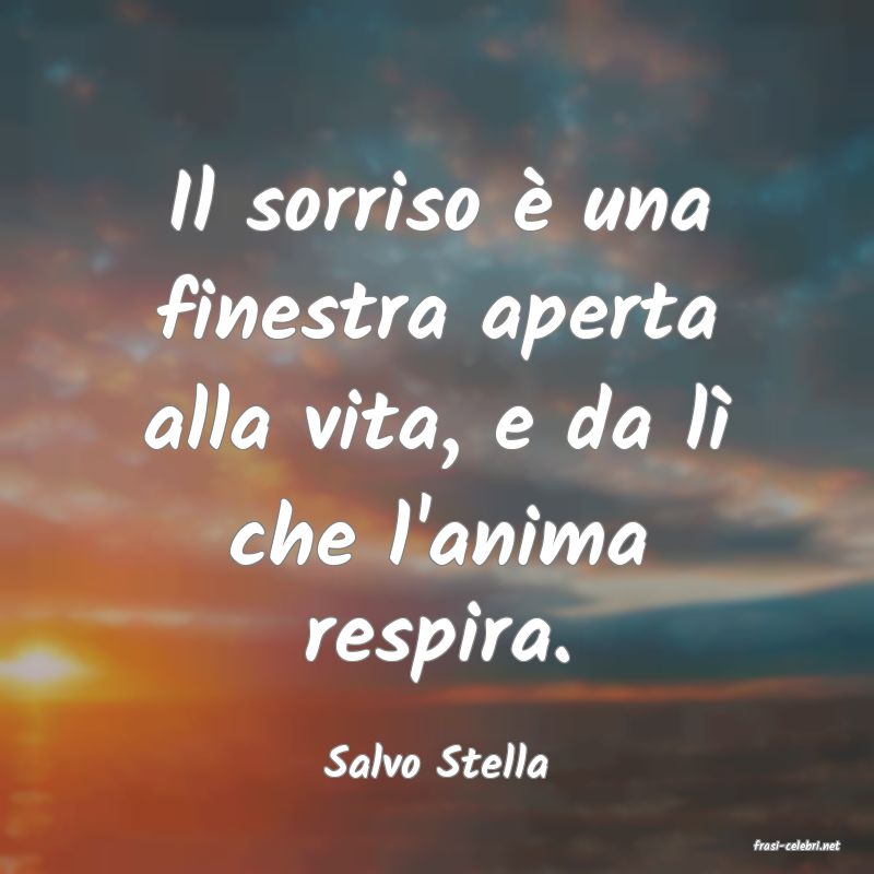 frasi di  Salvo Stella
