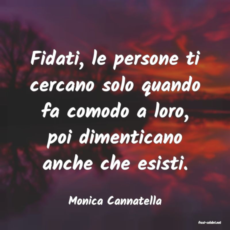 frasi di  Monica Cannatella
