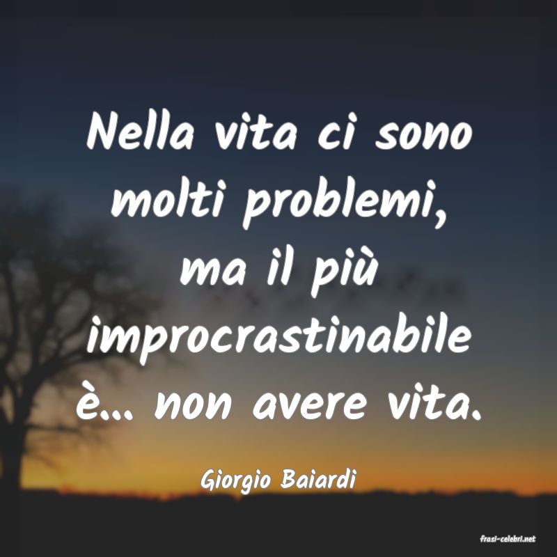 frasi di  Giorgio Baiardi
