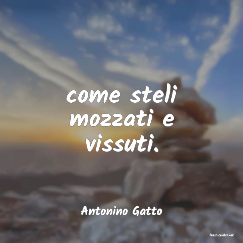 frasi di  Antonino Gatto
