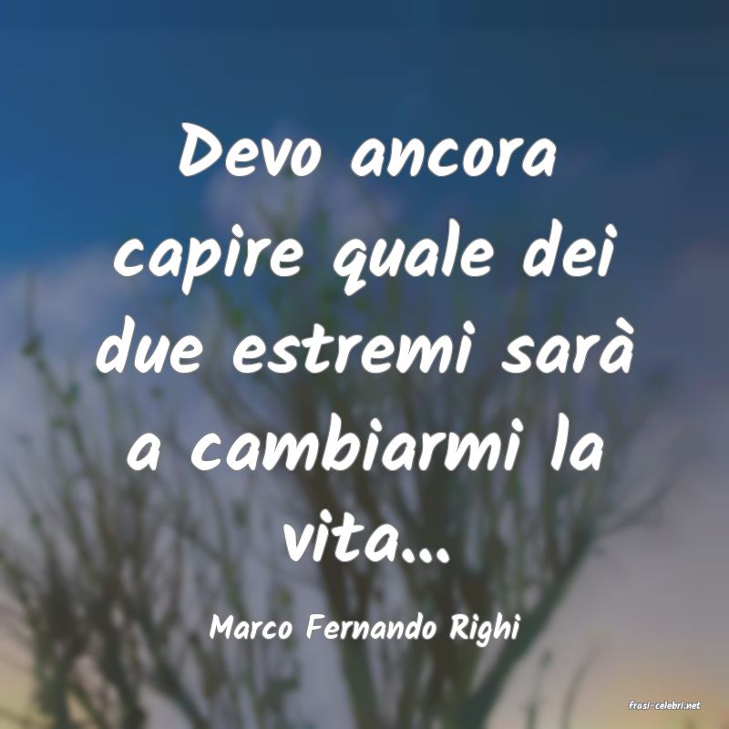 frasi di  Marco Fernando Righi
