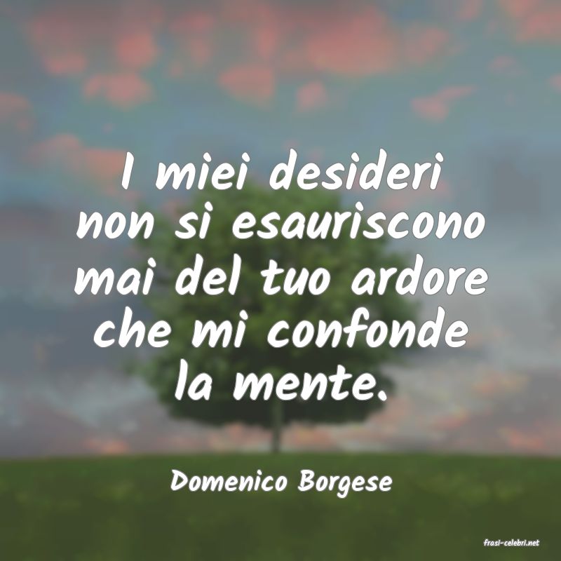 frasi di  Domenico Borgese
