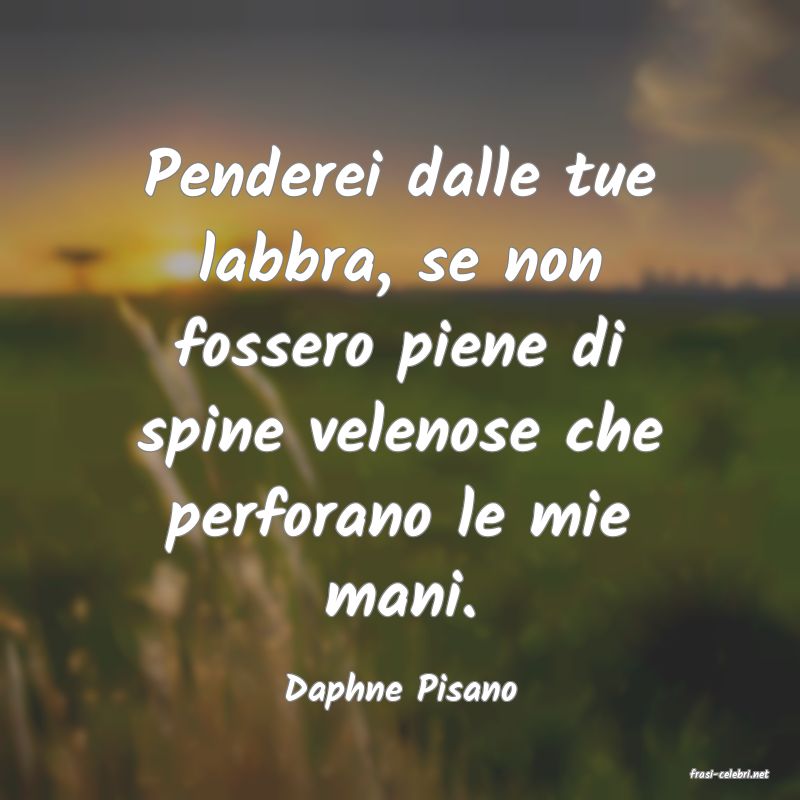 frasi di  Daphne Pisano
