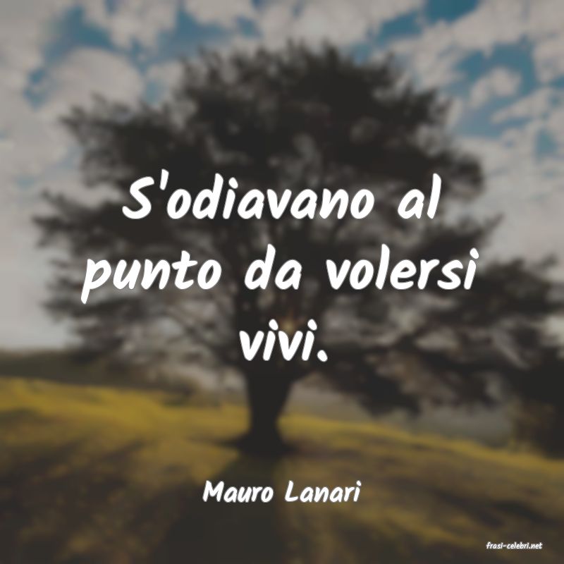 frasi di  Mauro Lanari
