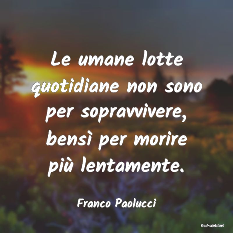 frasi di  Franco Paolucci
