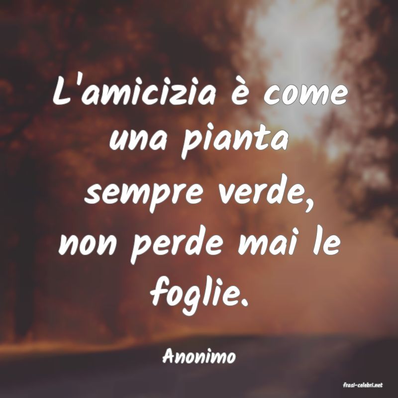 frasi di Anonimo