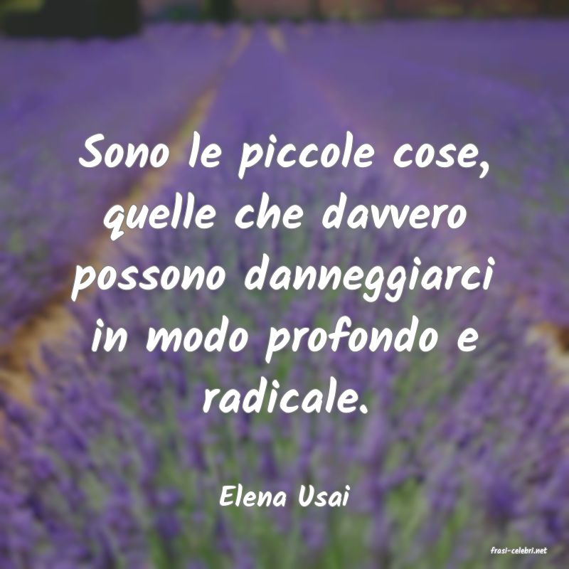 frasi di  Elena Usai
