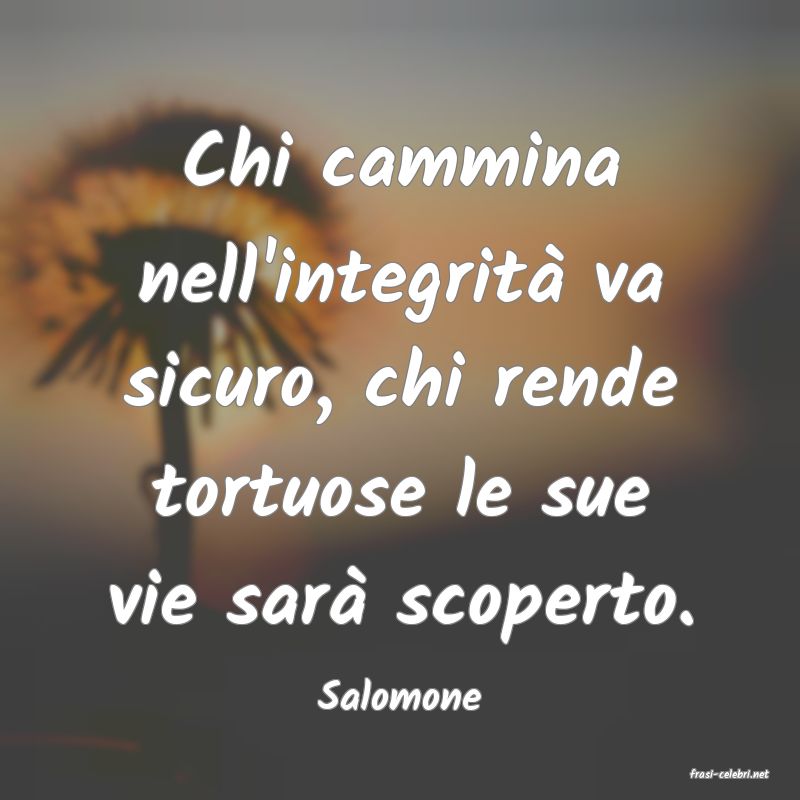 frasi di  Salomone
