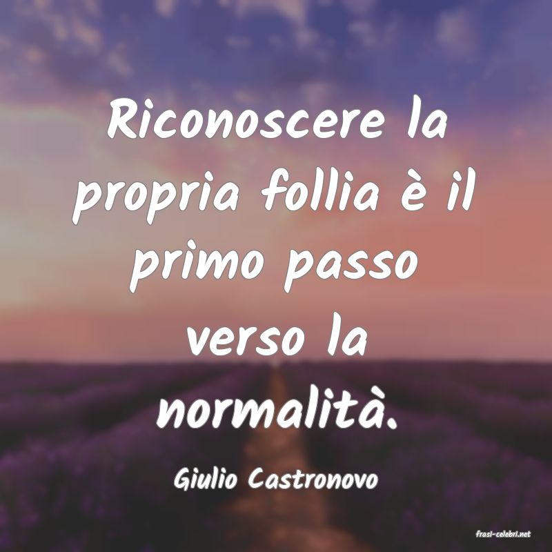 frasi di  Giulio Castronovo
