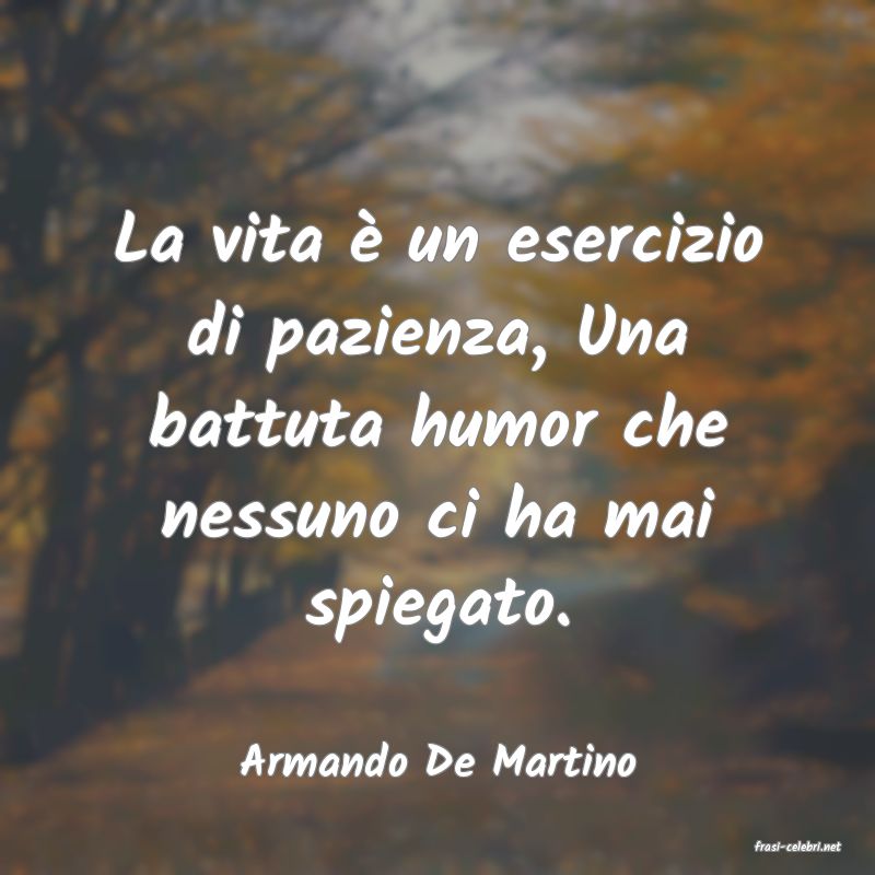 frasi di  Armando De Martino
