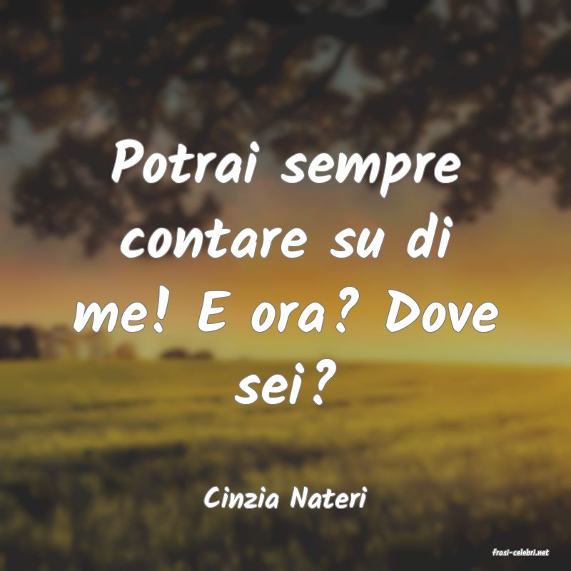 frasi di  Cinzia Nateri
