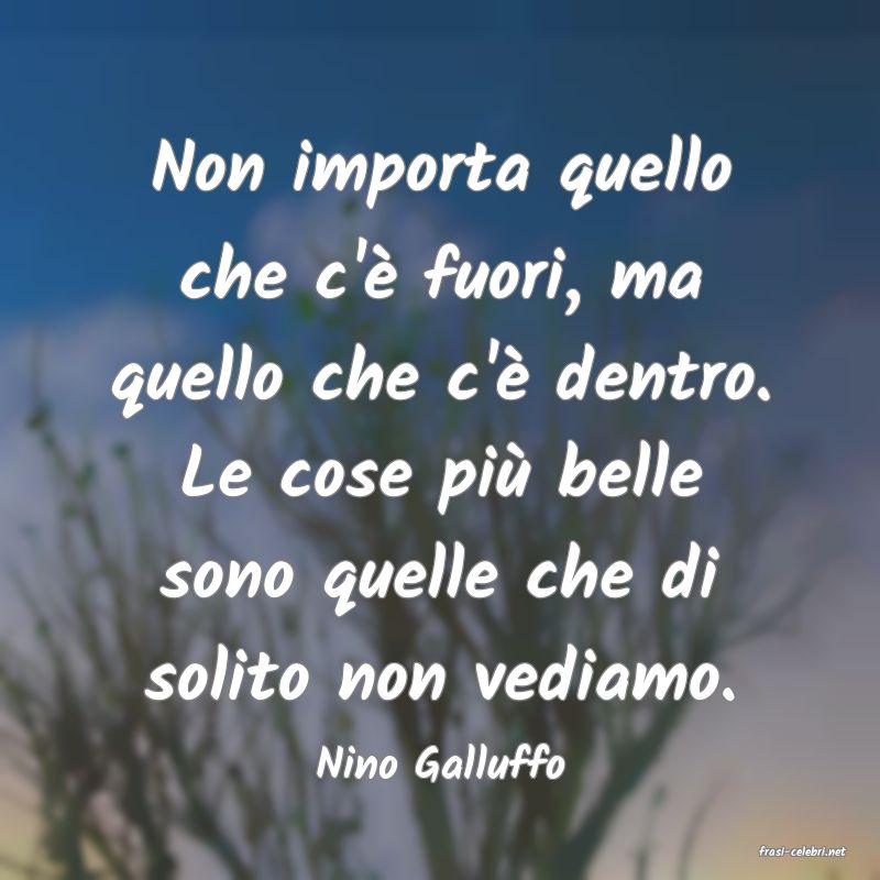 frasi di  Nino Galluffo
