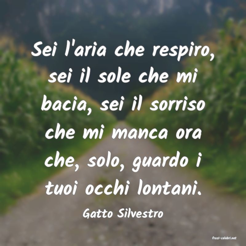 frasi di  Gatto Silvestro
