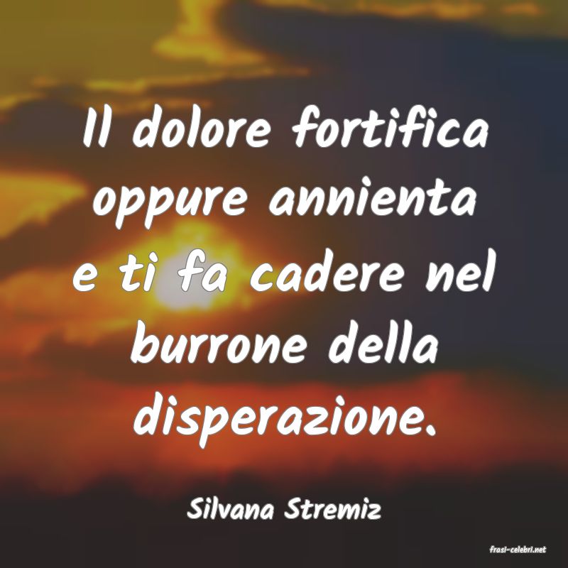 frasi di Silvana Stremiz