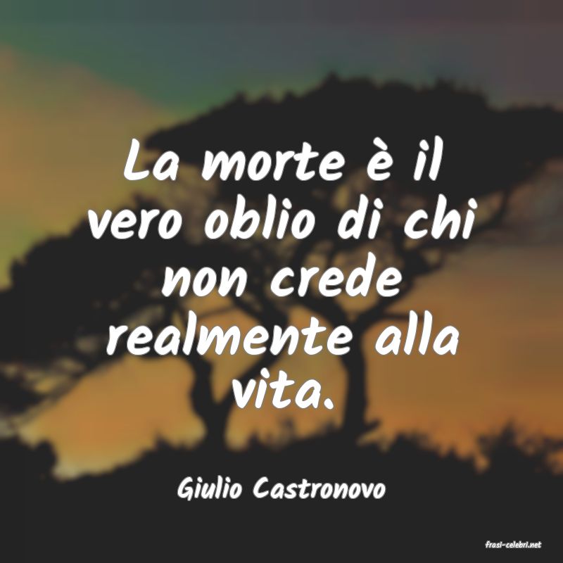 frasi di  Giulio Castronovo
