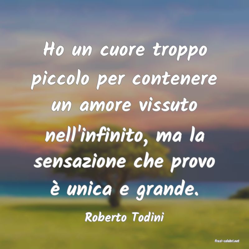 frasi di  Roberto Todini
