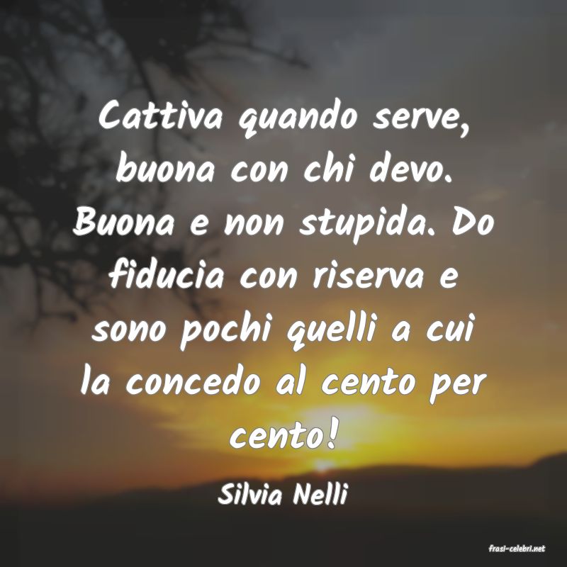 frasi di  Silvia Nelli
